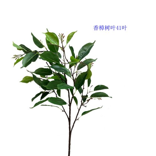 仿真植物树人造叶樟子松树枝立体香樟叶榕叶绿植盆景盆栽樟叶批发